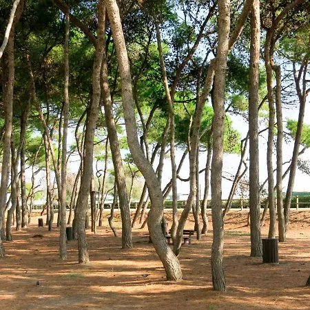 Holiday Alba By Interhome Holiday home Alba Adriatica